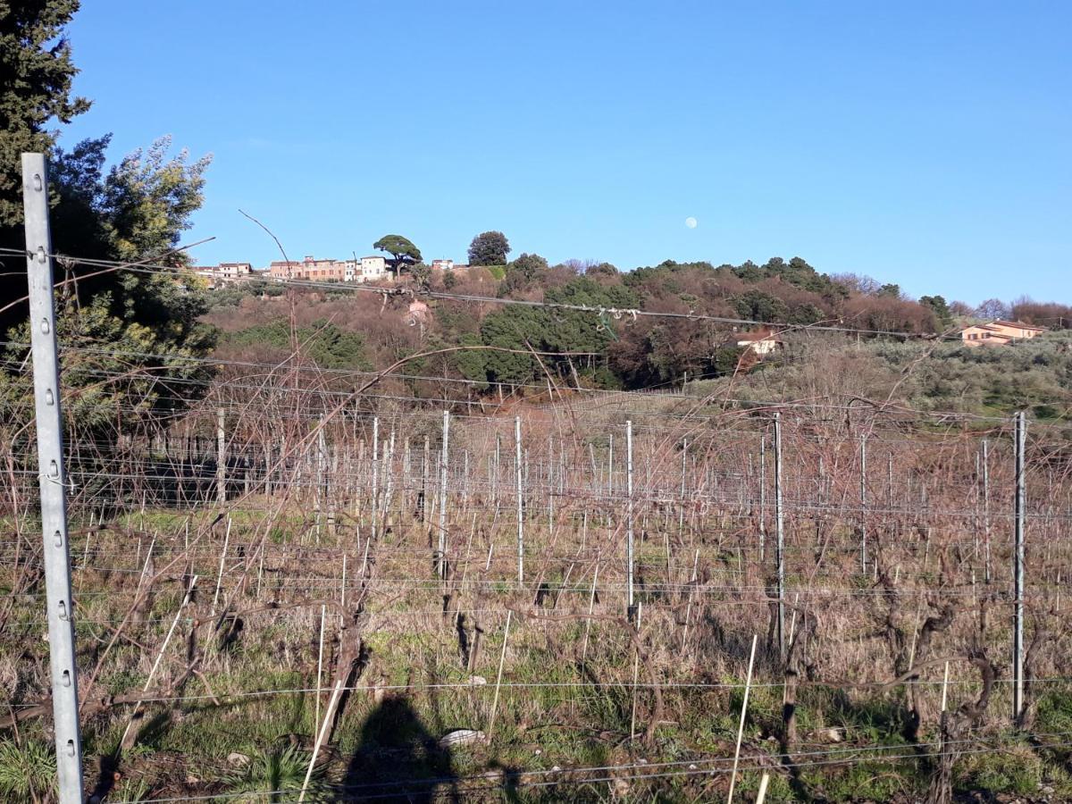 La Torre Wine Resort Montecarlo Exteriör bild
