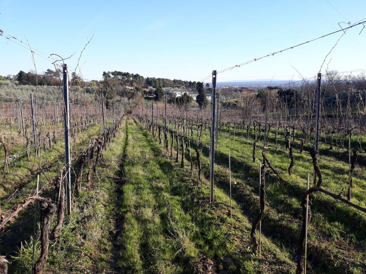 La Torre Wine Resort Montecarlo Exteriör bild